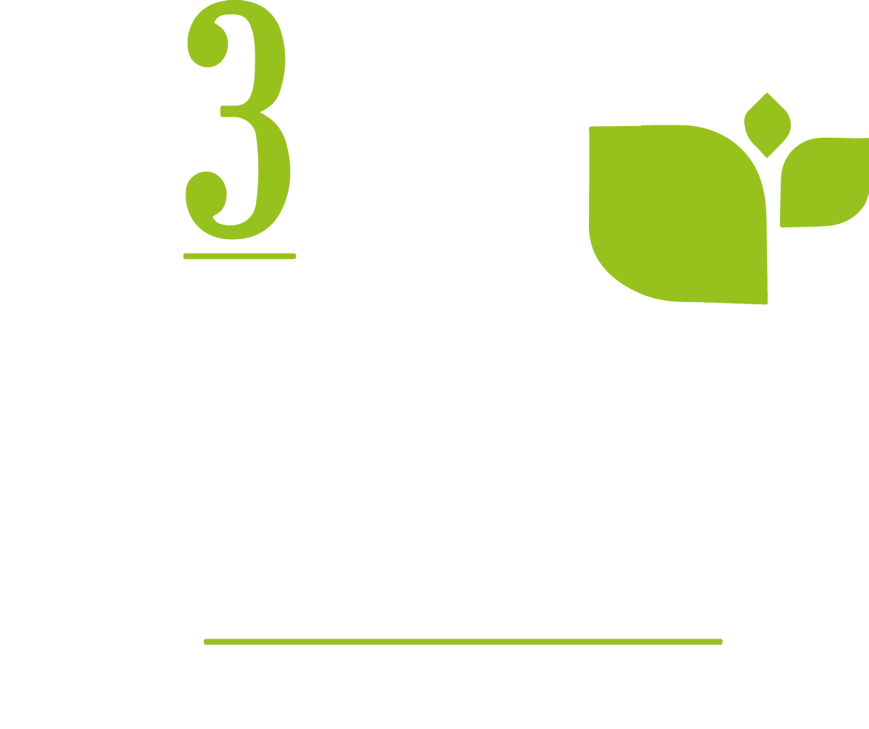 N3W PLANT